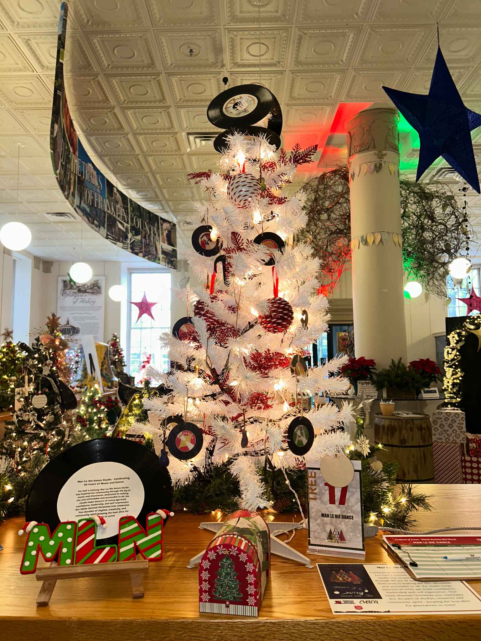 tree-fot (17) Mar-Lie-Ne School of Dance Tree at Festival of Trees