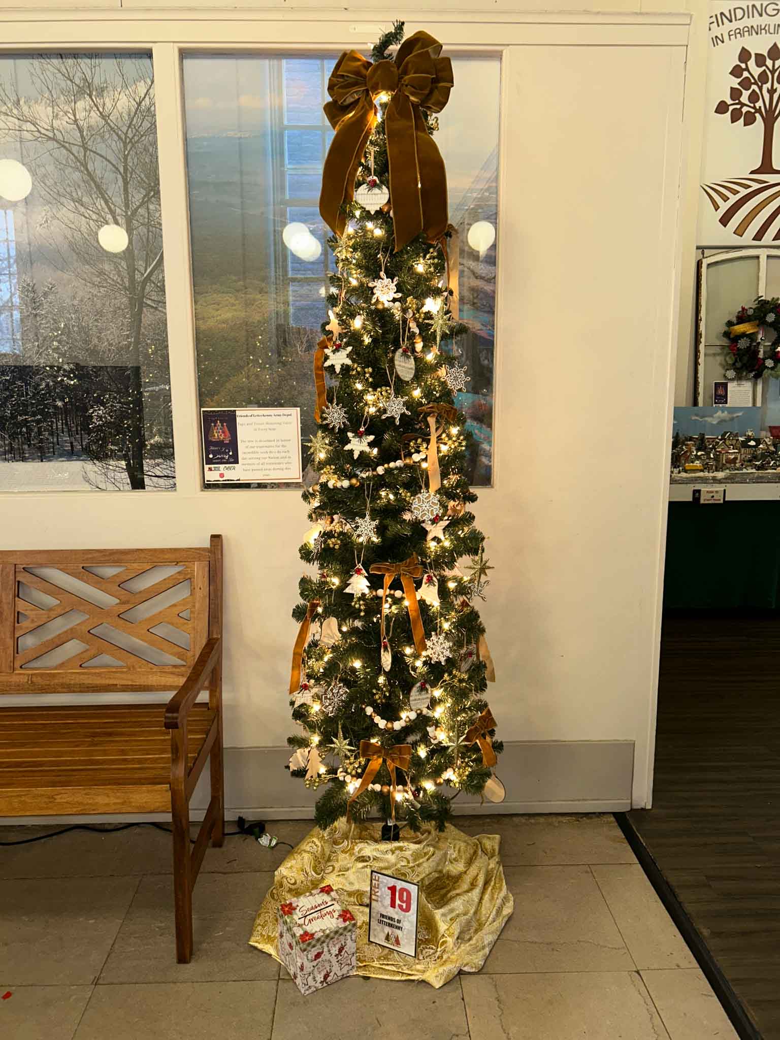 tree-fot (19) Friends of Letterkenny at Festival of Trees