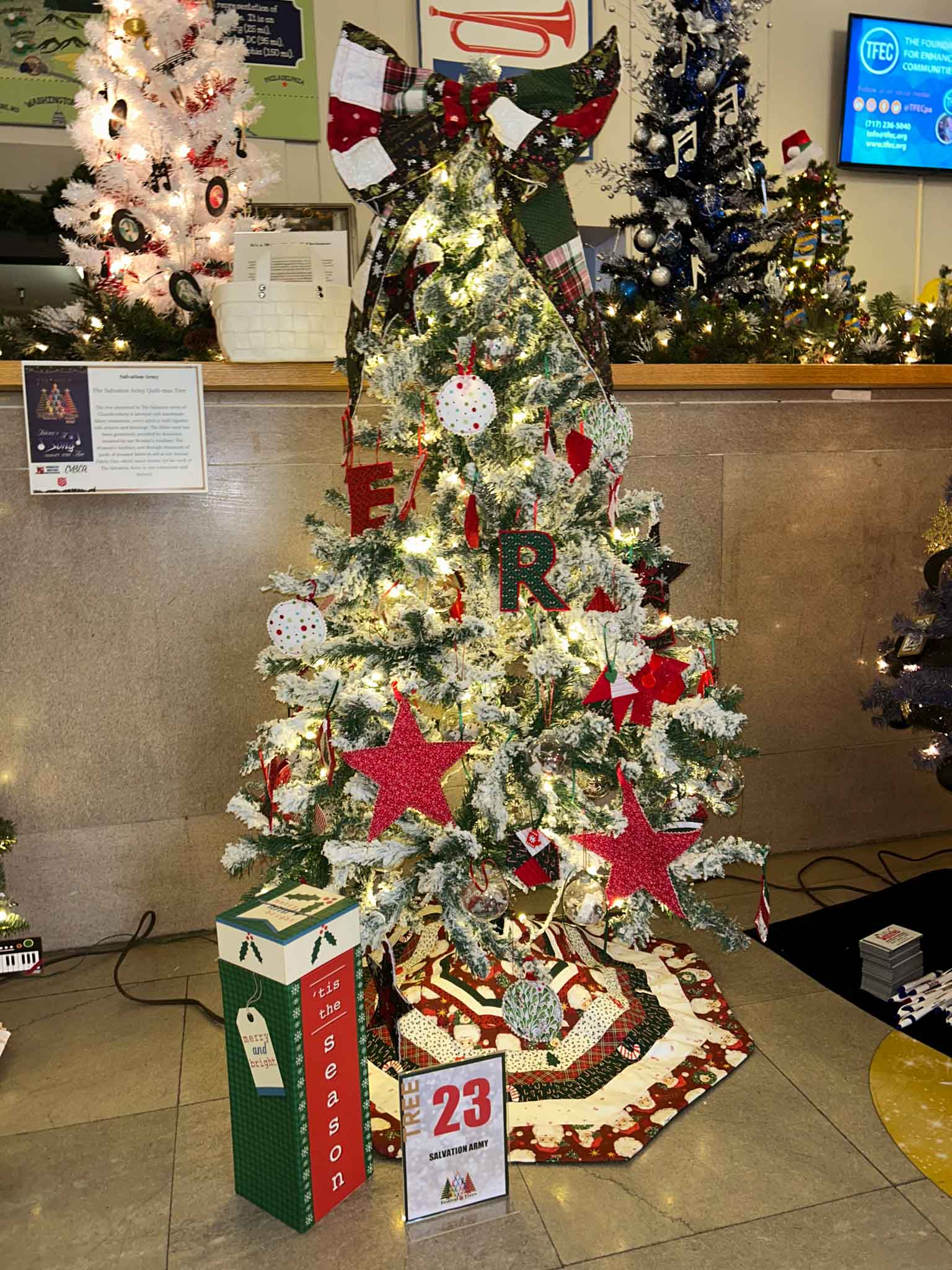 tree-fot (23) Salvation Army Tree at Festival of Trees