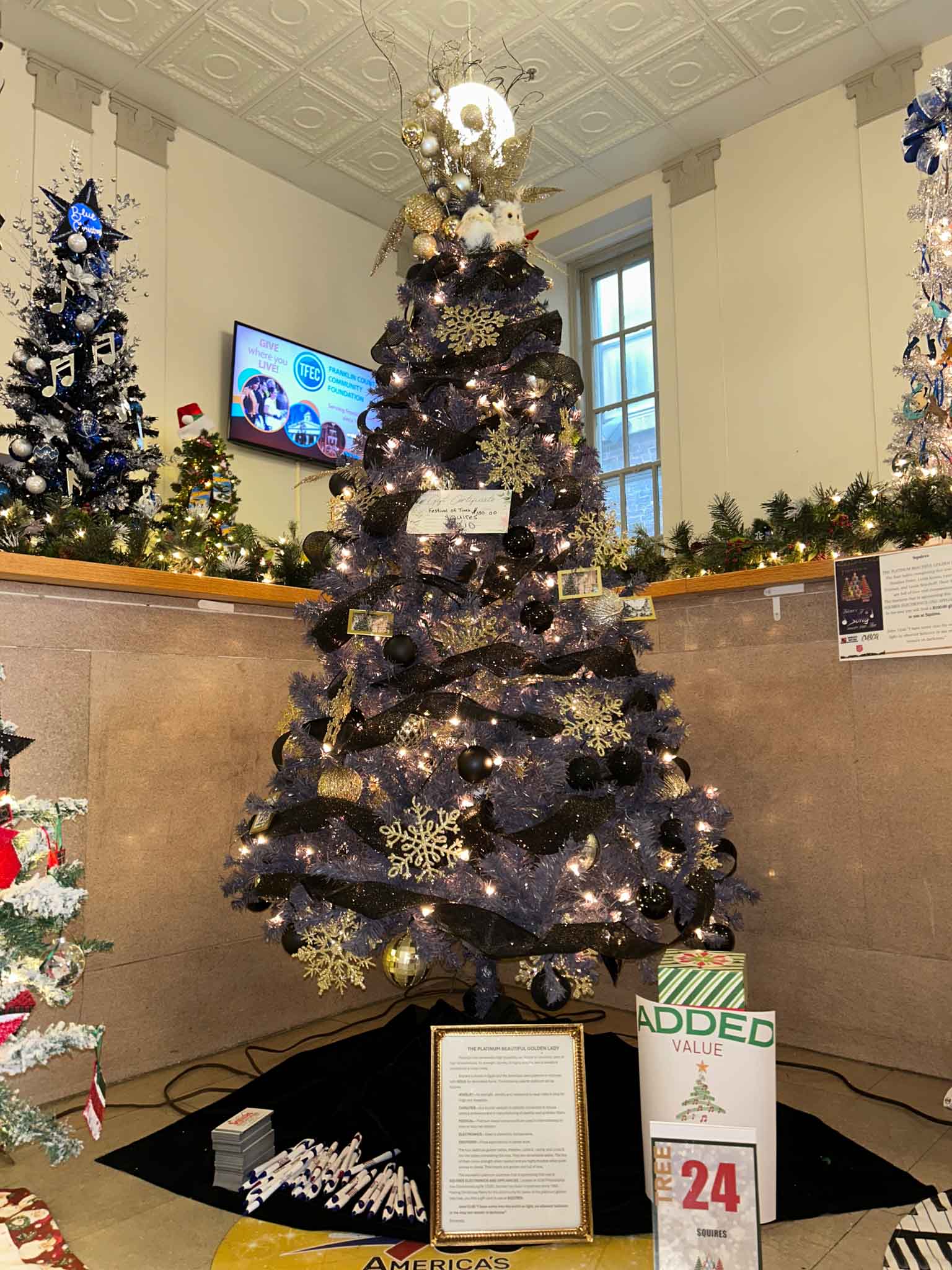 tree-fot (24) Squire's Tree at Festival of Trees