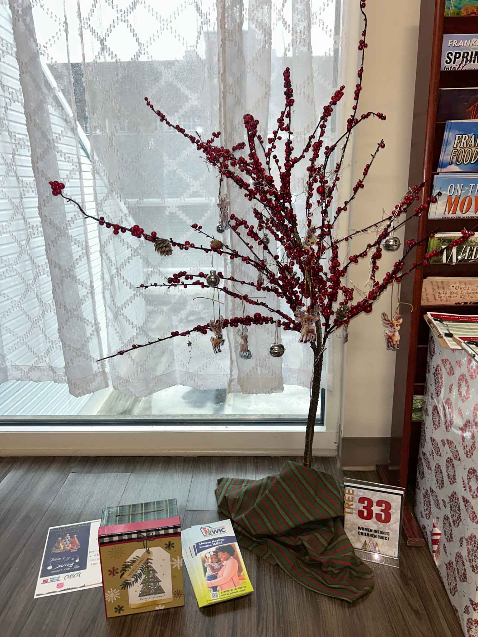 tree-fot (33) Women, Infants & Children Tree at Festival of Trees