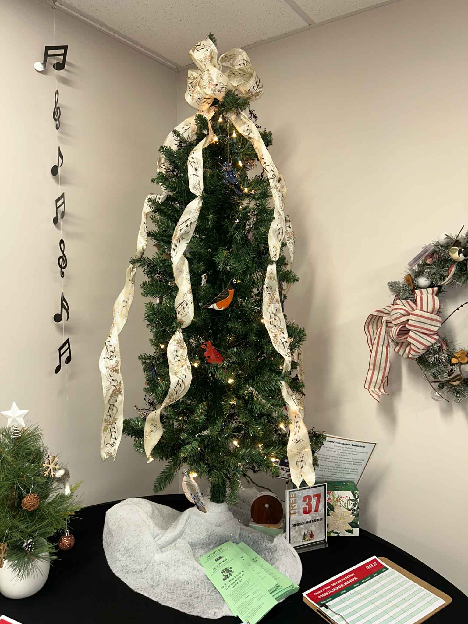 tree-fot (37) Conococheague Audubon Society at Festival of Trees