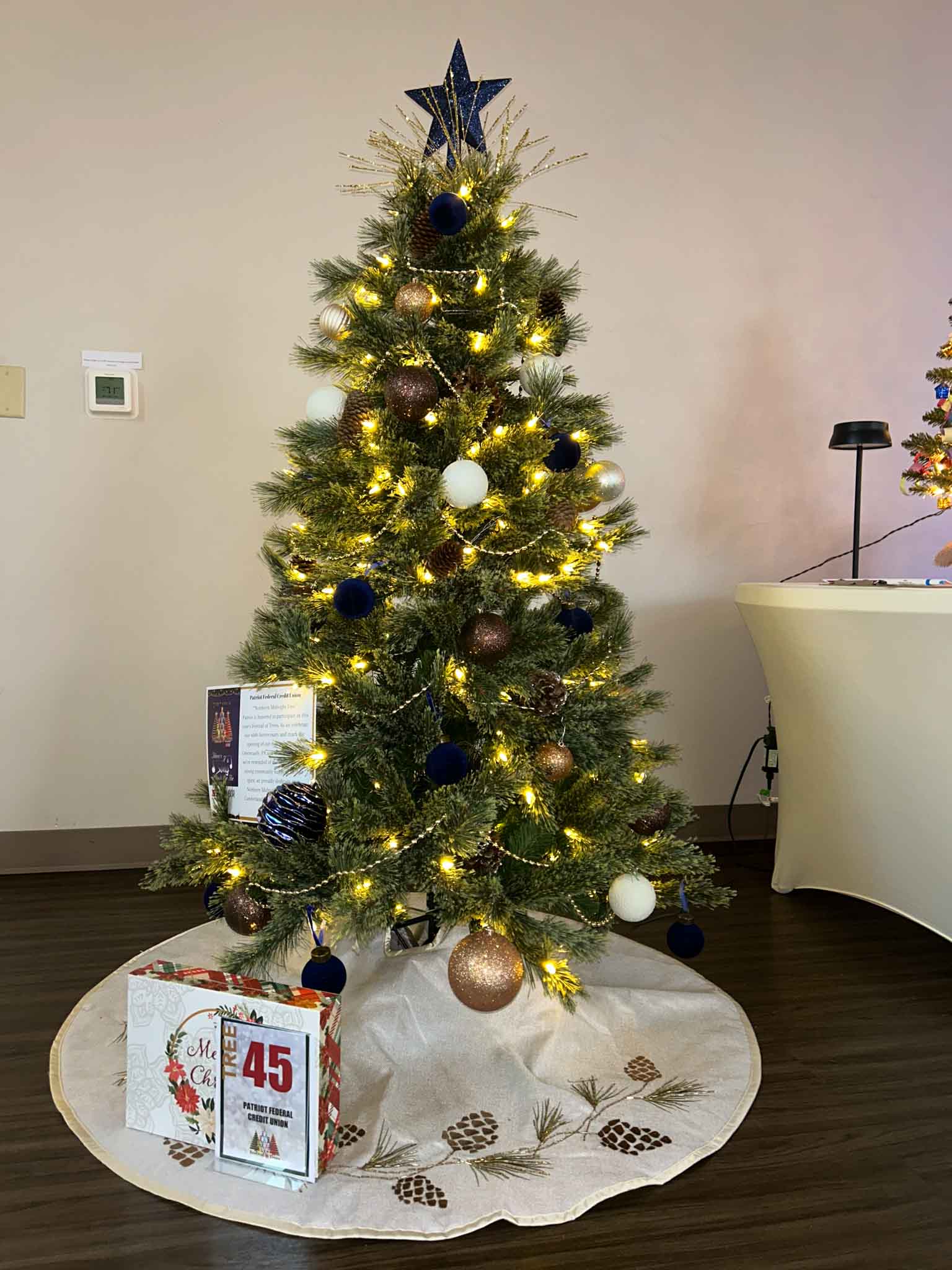 tree-fot (45) Patriot Federal Credit Union Tree at Festival of Trees