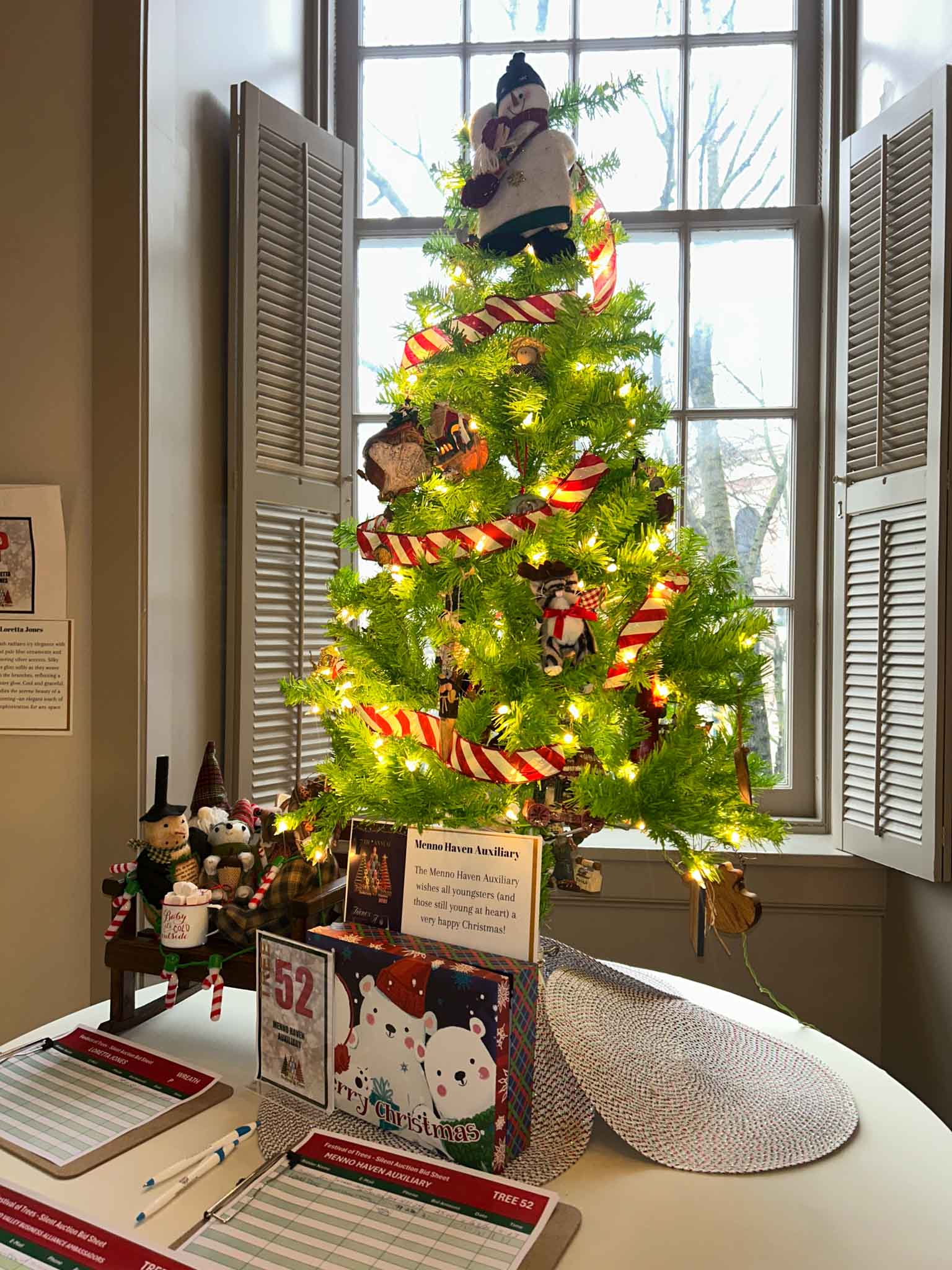 tree-fot (52) Menno Haven Auxiliary Tree at Festival of Trees