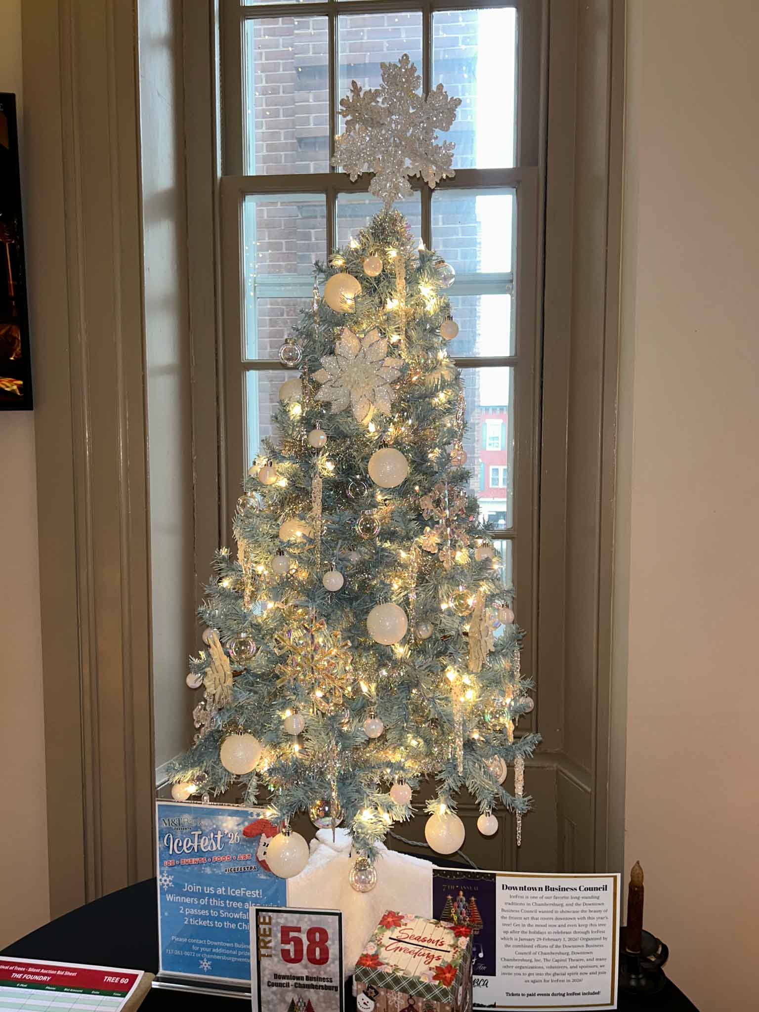 tree-fot (58) Christine & Ron Leighty Tree at Festival of Trees