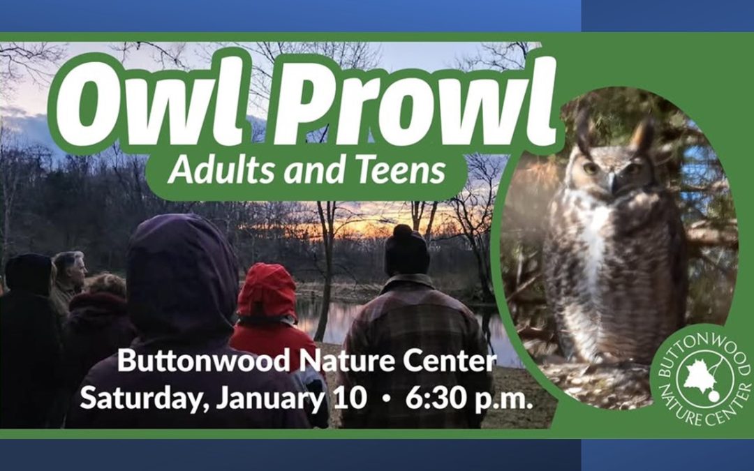 An evening owl walk on January 10 at Buttonwood