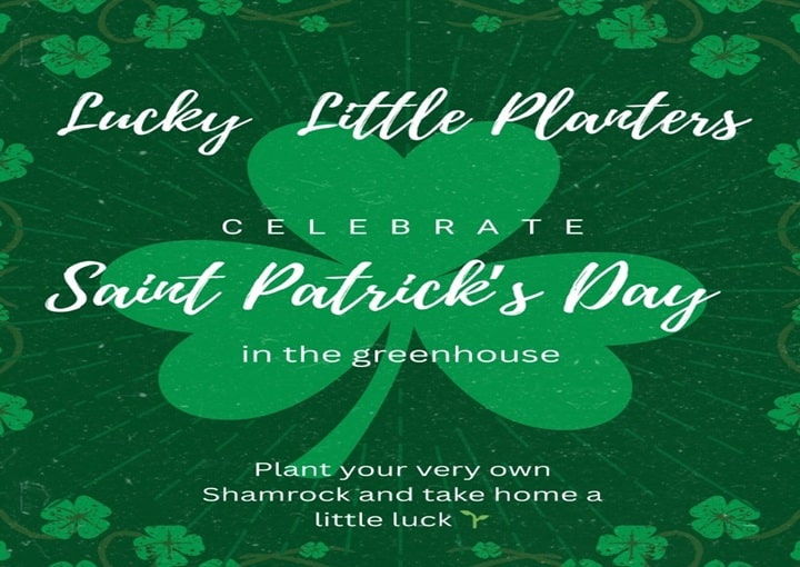 Lucky Little Planter