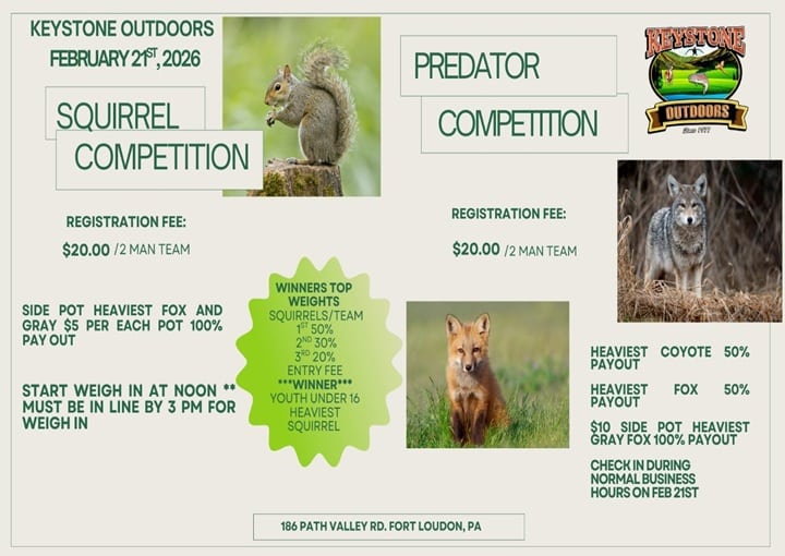 Predator Competition