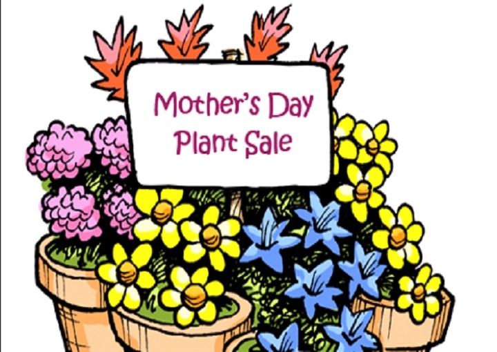 Mother’s Day Plant Sale | The Blue Ridge Summit Free Library